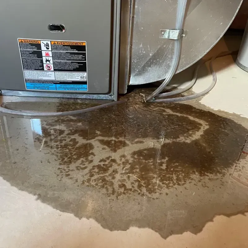 Appliance Leak Cleanup in Lake Purdy, AL